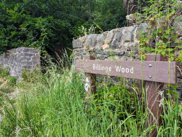 Entrance to Billinge Wood